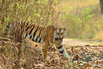Heart-warming Jabalpur Tour Package for 3 Days