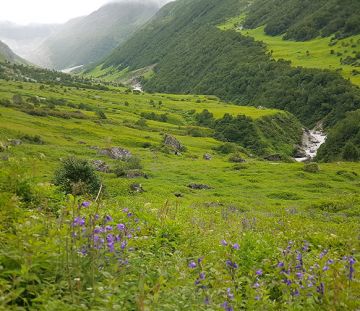 7 Days VALLEY OF FLOWER, HEMKUND SHAHIB, BADRINATH with RUDRAPARYAG River Tour Package