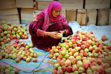 5 Days 4 Nights Srinagar to GULMARG Romantic Vacation Package