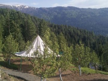 4 Days 3 Nights Chail Offbeat Holiday Package