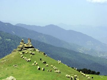 4 Days 3 Nights Chail Offbeat Holiday Package