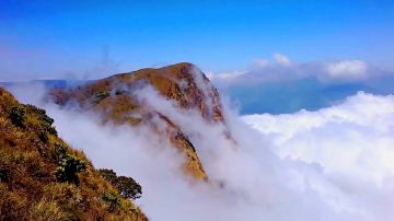 Memorable 3 Days Cochin and Munnar Vacation Package