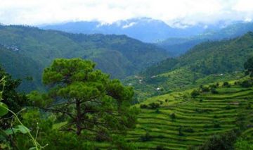Experience 4 Days 3 Nights Ranikhet Luxury Holiday Package