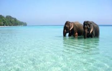 Memorable 6 Days Port Blair to Elephant Beach Romantic Tour Package