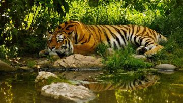 Memorable 3 Days Kolkata to Sundarban Vacation Package