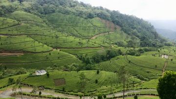 Memorable 4 Days Munnar Romantic Tour Package