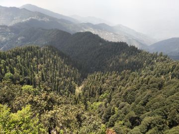 Beautiful 4 Days Delhi to Shimla Honeymoon Holiday Package