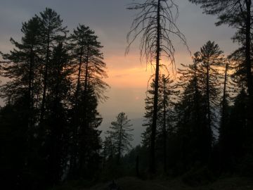 Beautiful 4 Days Delhi to Shimla Honeymoon Holiday Package