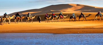 Experience Bikaner Offbeat Tour Package for 3 Days 2 Nights