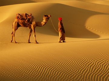 Experience Bikaner Offbeat Tour Package for 3 Days 2 Nights