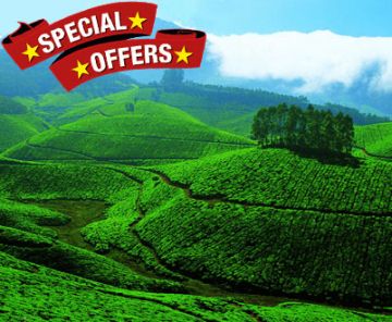 Heart-warming 6 Days Kochi to Alleppey Honeymoon Vacation Package