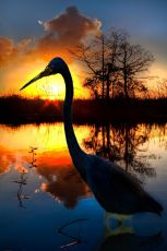 Pleasurable 5 Days Madurai to Trivandrum Luxury Trip Package