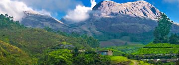 Magical 8 Days Alleppey Wildlife Holiday Package