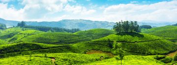 Magical 8 Days Alleppey Wildlife Holiday Package