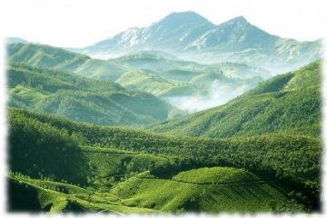 Amazing 6 Days Munnar Friends Trip Package