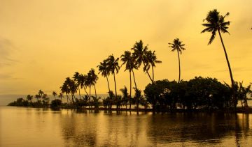 Family Getaway 4 Days Cochin with Munnar Holiday Package