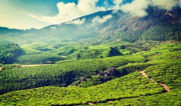 5 Days 4 Nights Munnar Friends Vacation Package