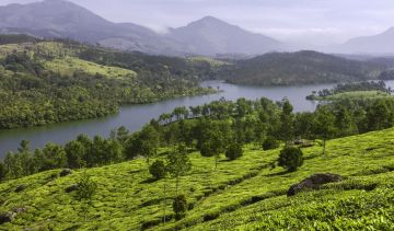 5 Days 4 Nights Munnar Friends Vacation Package