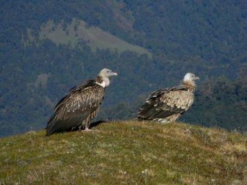 Magical 8 Days Wan Offbeat Trip Package