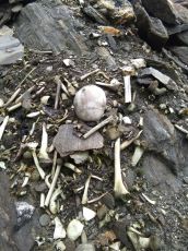 Magical 8 Days Wan Offbeat Trip Package