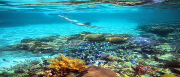 Ecstatic 4 Days 3 Nights Port Blair, Havelock and Coral Island Weekend Getaways Tour Package