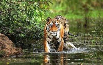 Ecstatic 9 Days 8 Nights Delhi, Jaipur, Fatehpur with Agra Trip Package