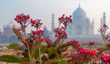 5 Days New Delhi with Agra Honeymoon Trip Package