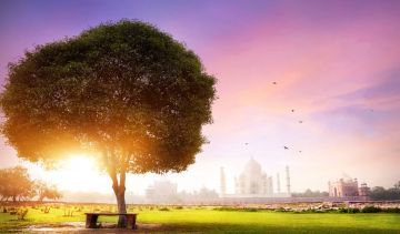 5 Days New Delhi with Agra Honeymoon Trip Package