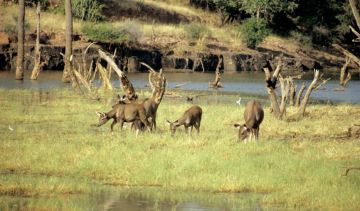 5 Days New Delhi with Agra Honeymoon Trip Package