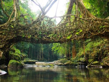 7 Days 6 Nights Guwahati to Shillong Weekend Getaways Trip Package