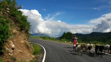 Delhi to Dehradun to Mussoorie to Dhanaulti to Kanatal to Te