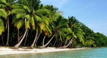 5 Days 4 Nights Port Blair Beach Trip Package