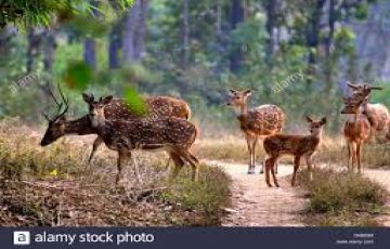Amazing 3 Days Nagpur to Nagpur - Kanha National Park Nagpur Vacation Package