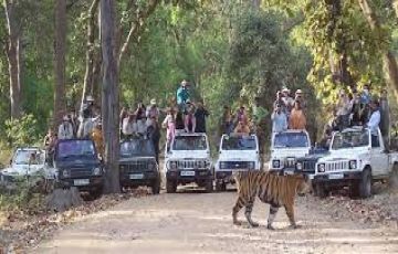 Amazing 3 Days Nagpur to Nagpur - Kanha National Park Nagpur Vacation Package