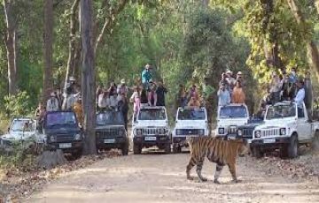 Amazing 3 Days Nagpur to Nagpur - Kanha National Park Nagpur Vacation Package