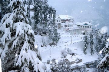 Best 7 Days 6 Nights Shimla Honeymoon Holiday Package