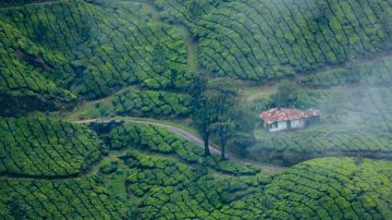5 Days Munnar, Thekkady with Alleppey Family Tour Package