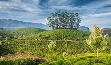 Heart-warming 8 Days Mysore Beach Tour Package