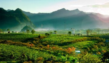 Heart-warming 8 Days Mysore Beach Tour Package