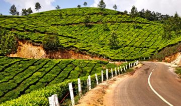 Heart-warming 8 Days Mysore Beach Tour Package