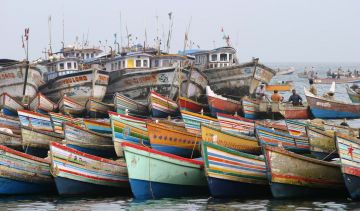 Heart-warming 8 Days Mysore Beach Tour Package