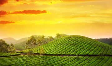 6 Days 5 Nights New Delhi to Coimbatore Culture Vacation Package