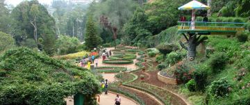 4 Days Bangalore, Mysore and Coorg Culture and Heritage Vacation Package