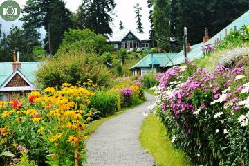 Memorable 7 Days Srinagar to Gulmarg Honeymoon Tour Package