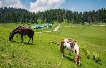 Memorable 7 Days Srinagar to Gulmarg Honeymoon Tour Package