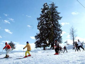 5 Days Srinagar Hill Stations Holiday Package