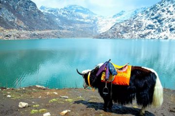 Magical 5 Days 4 Nights Gangtok Friends Holiday Package
