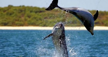 Family Getaway 2 Days 1 Night Goa Holiday Package