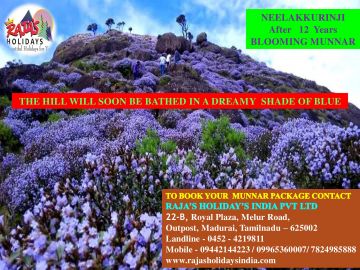 Beautiful 3 Days 2 Nights Munnar Culture Trip Package