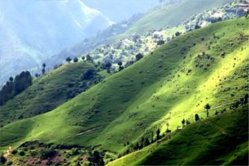 Memorable 4 Days 3 Nights Local MAnali Holiday Package